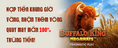 Hoàn Trả VIP 🏆 promotion